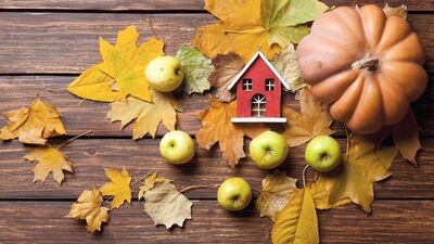 Evinizi sonbahara hazırlayın!