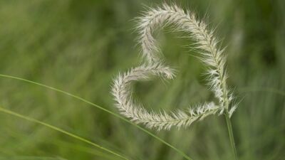 Platonik aşık mısınız?