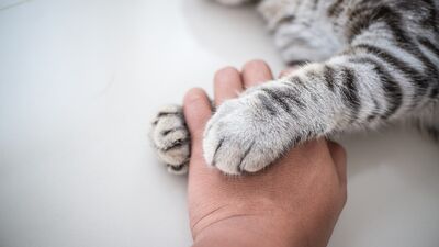 Anne olmak, farkındalık ve birkaç parça ekmek