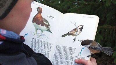 Tesadüflere inanır mısınız?