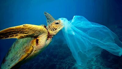 Naylon poşet kullanımı ücretli olacak