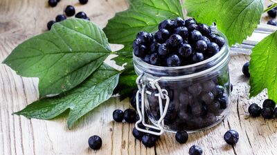 Süper meyve: Aronya