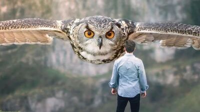 Büyük hayvanlar küçük insanlar