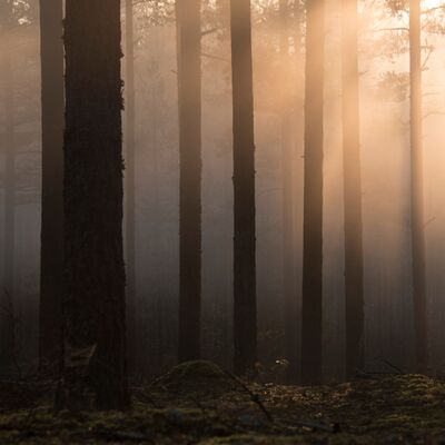 “Duymak istiyorsan, sessiz ol”