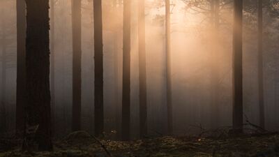 “Duymak istiyorsan, sessiz ol”