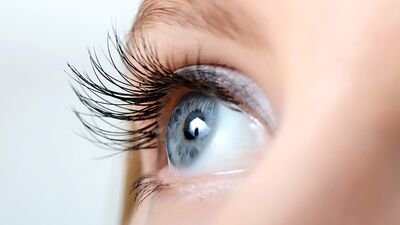 Tavuk karası hastalığına dair neler biliyorsunuz?