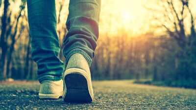 Yürüyüş batonları ve kurallar