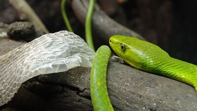 Birbirinden ilginç 25 fotoğraf