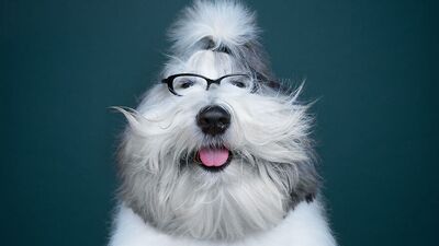 Gülümseten portreler