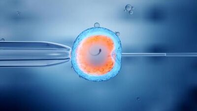 Embriyo yapıştırıcısı hakkında merak ettikleriniz...