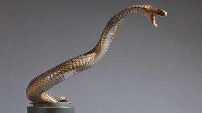 Zehir saçan hayvanlar