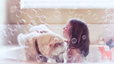 Barınaktan ömür boyu arkadaşlığa