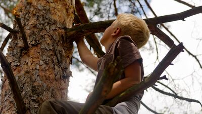 Aşırı korumacı ebeveynlik kırılgan bir nesil yarattı