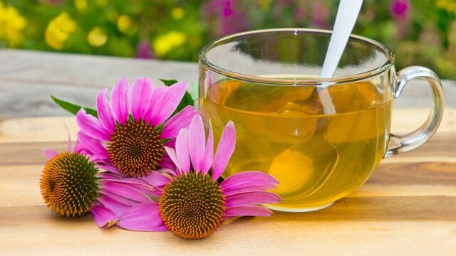 Soğuk algınlığı ve gribe kesin çözüm: Ekinezya