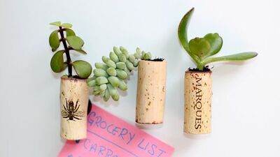 Sukulentlerden magnet yapımı