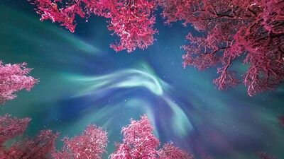 2017 yılının en iyi astronomi fotoğrafları