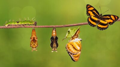 Hayatımızı uzatmamız mümkün mü?