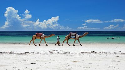 Dünyanın en iyi 50 plajı