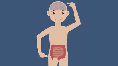 Bağırsağın işlevi düşündüğümüzden daha önemli!