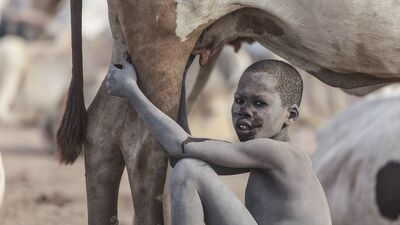 Yılın fotoğrafları seçiliyor
