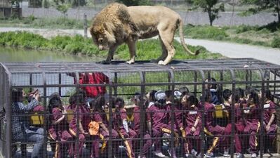 Dünya tersine döndü!