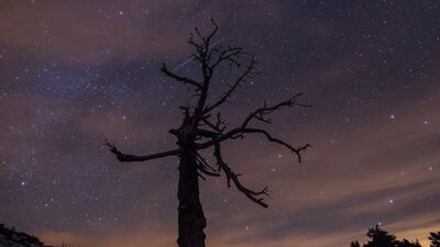 Yılın son ve en büyük görsel şöleni bu gece
