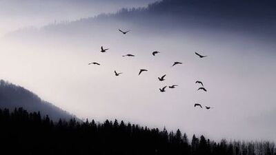 Kıvırtmaya gerek yok...