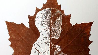 Yapraklar muhteşem sanat eserlerine dönüşüyor