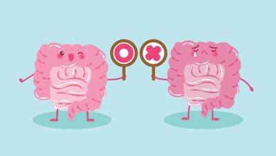 Mutlu bağırsaklar için 5 besin