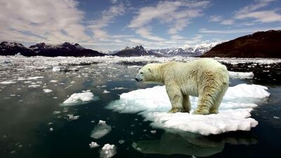 Küresel iklim değişikliği gerçek