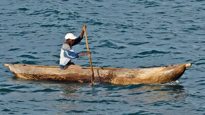 Canlı yayın: Bir gezginin hikayesi