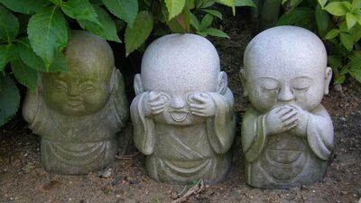 Gördüm, duydum, haydi çözelim