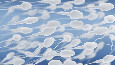 Sperm mıknatısı ile gebelik şansı artıyor