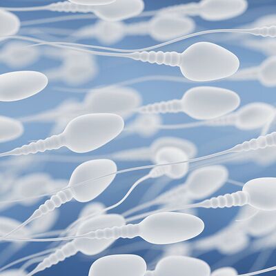 Sperm mıknatısı ile gebelik şansı artıyor