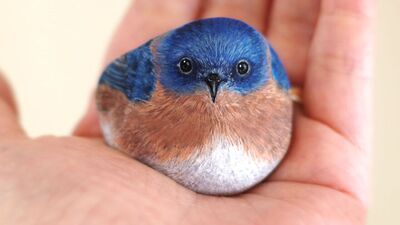 Taşlara can veren sanatçı: Akie Nakata