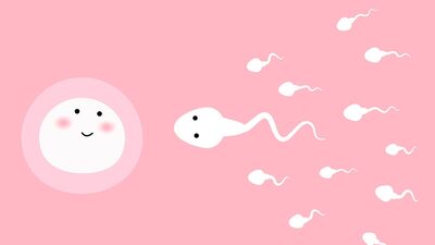 Sperm sayısı nasıl ölçülür?