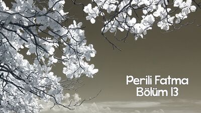 Ben seni sevdiğimi de dünyalara bildirdim