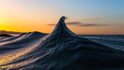 Doğal yaşamdan kareler
