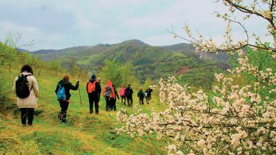 Şehirden kaçış rotaları