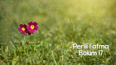 Bana bir sade kahve veresin, bol telveli olsun