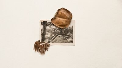 Özge Enginöz "Hasar Katsayısı / Damage Multiple"