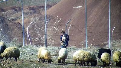 Koyunları otlatırken kitap okudu kalpleri ısıttı