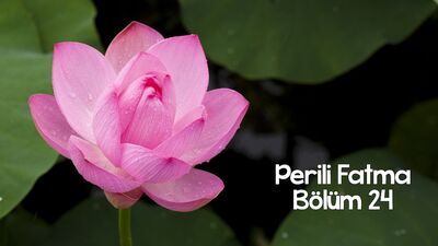 Geri gelir elbet, gözlerini benden kaçırdığına göre...