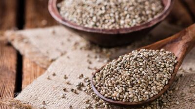 Kenevir tohumunun faydalarını biliyor musunuz?