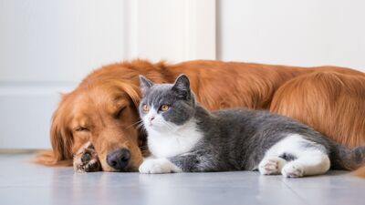 Uykunuz ilişkinizi sabote mi ediyor?