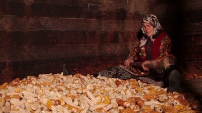 Mısır, kadın ve mücadele filmi "Terin Tohumu"