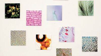 OT sergisi Cumhuriyet Müzesi Sanat Galerisi'nde açıldı