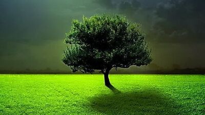 Ey korku krallığının müebbet halkı!