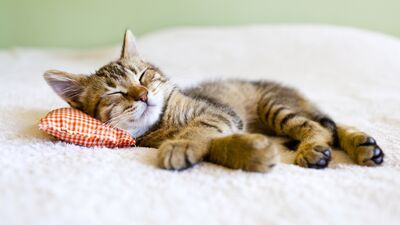 Düzensiz uyku ve zihinsel sağlığımız