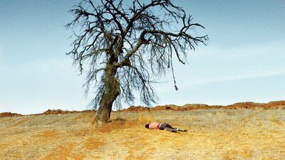 Ahlat Ağacı: Bir memleket filmi